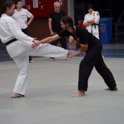 dsc 0150 - Sportraad Zaventem 